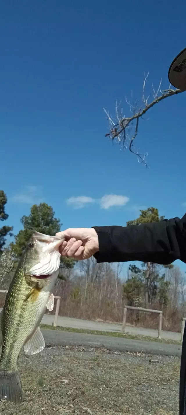 First one of the year baby!