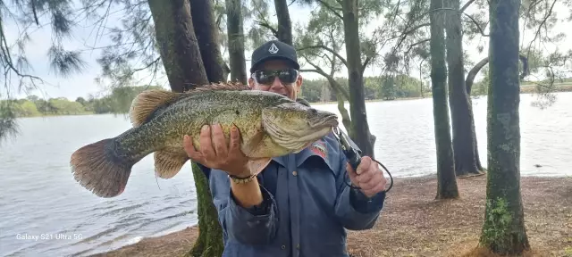 Murray Cod | Fishing Photo