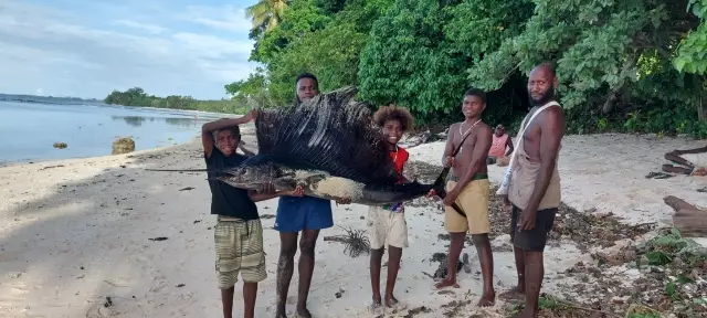 Kavieng Fishing- 35kg blue marlin plus assorted.