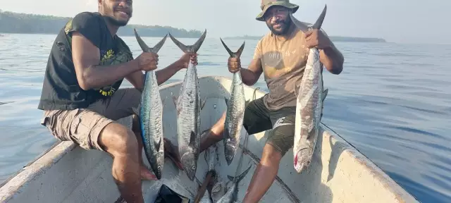 Kavieng fishing- 7 X 8-10kg Spanish mackerel.