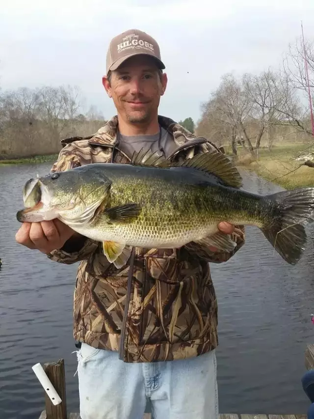 Nice Largemouth Bass