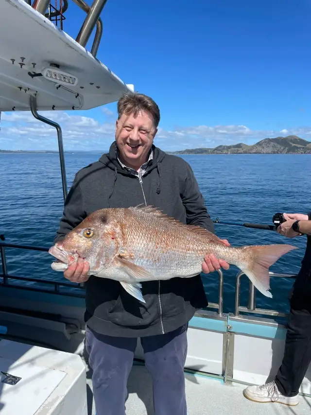 20 lb Snapper