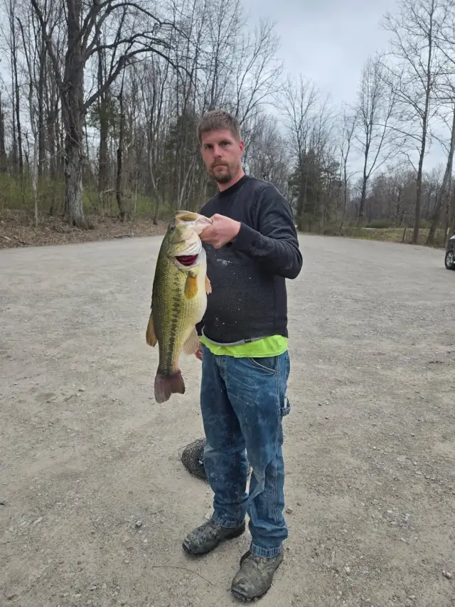 Lmb