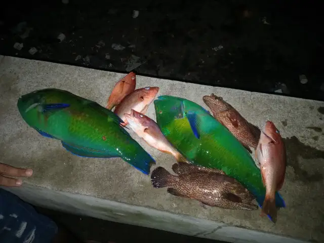 Sunset catch