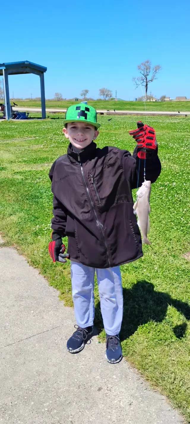 Croaker