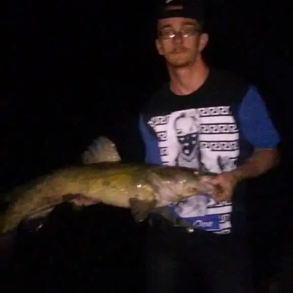 28 lb shovelhead