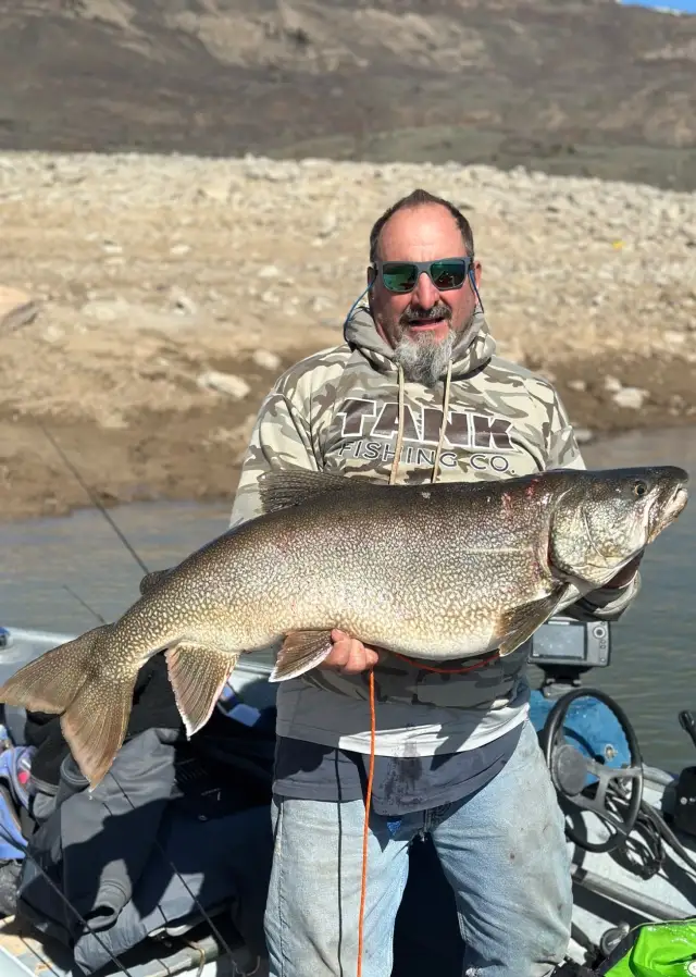 Lake trout