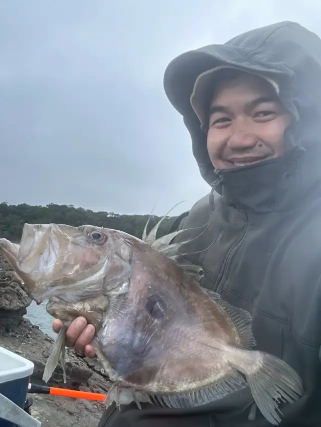 John Dory Auckland