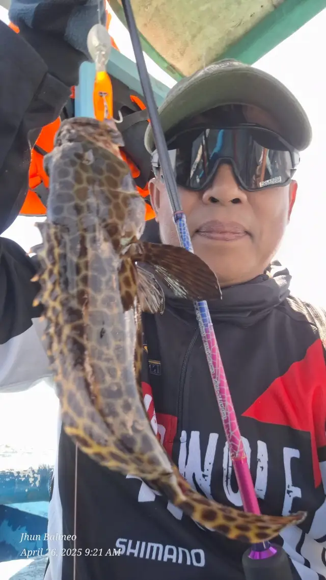 Grouper on another Yo-zuri Lure.