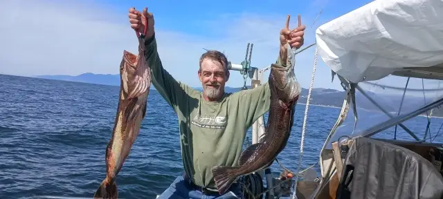 Lingcod