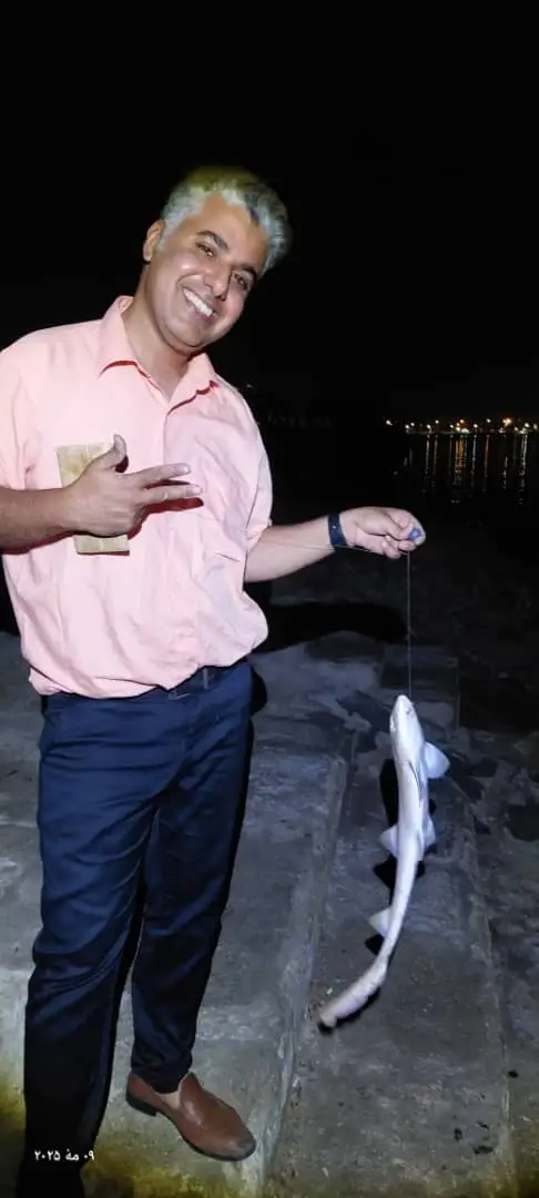 shark