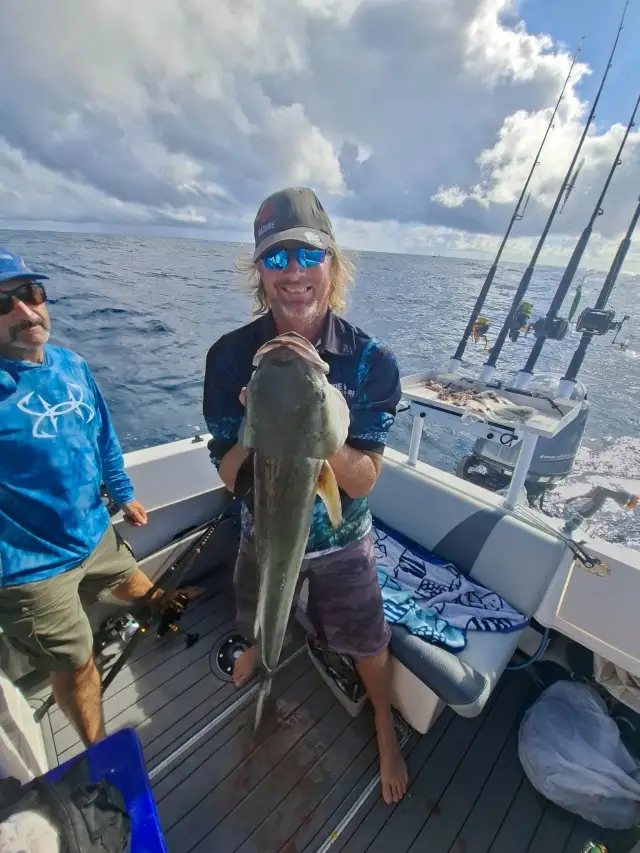 Cobia