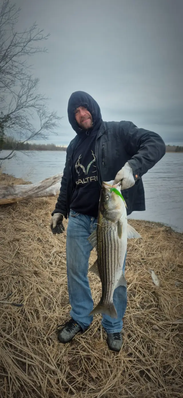 Bass