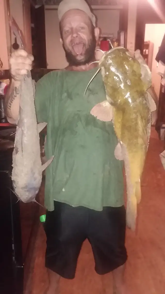 Blue an a flathead
