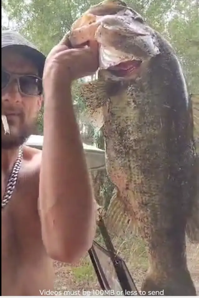 Large mouth bass
