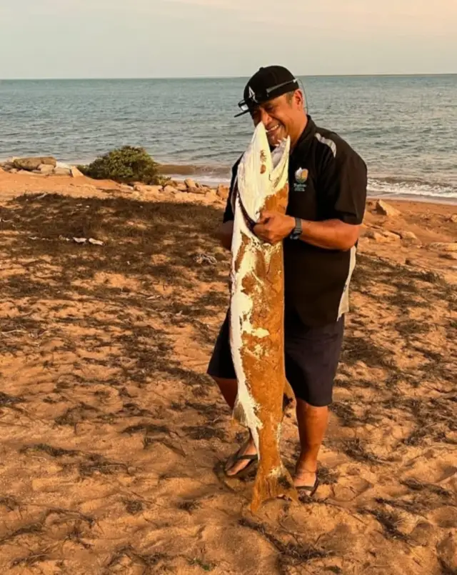 Barracuda