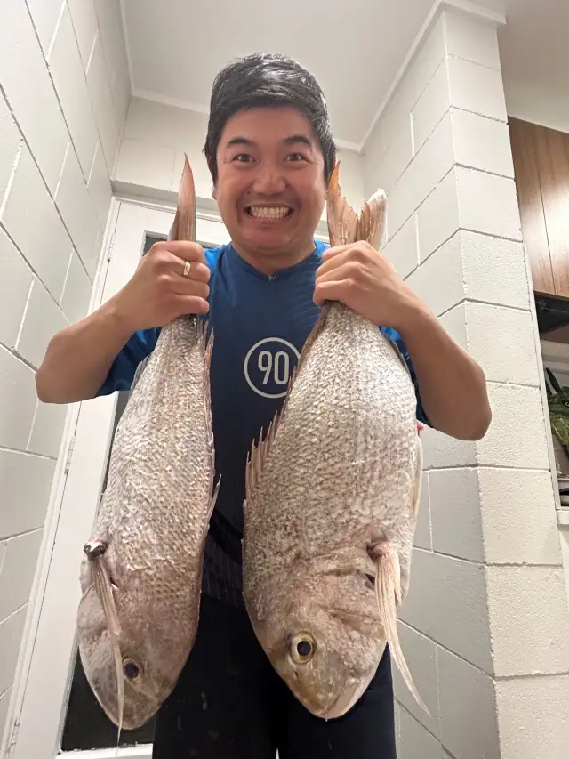 RedSnapper west Auckland