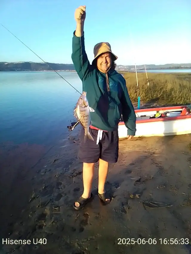 Pignose grunter "Happy Birthday" Bud