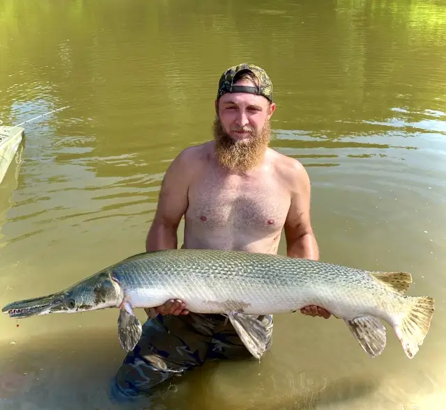 Sabine ALLIGATOR GAR