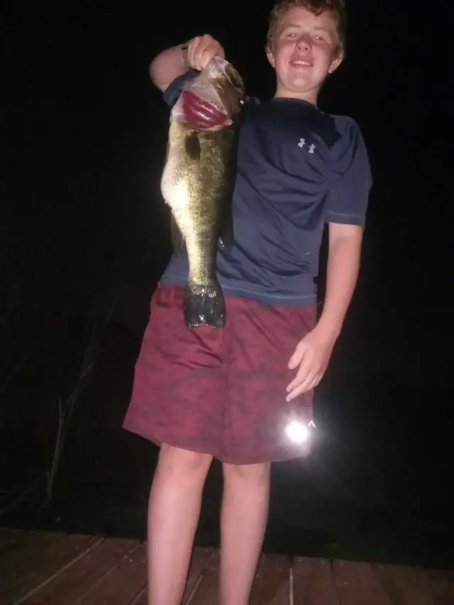 Largemouth bass