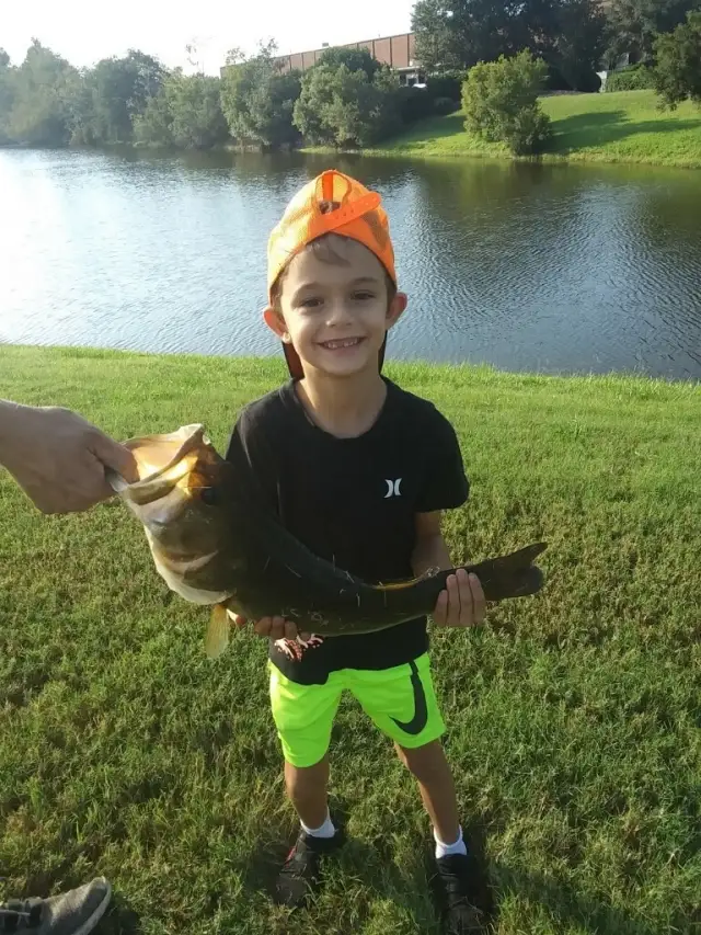 Bass