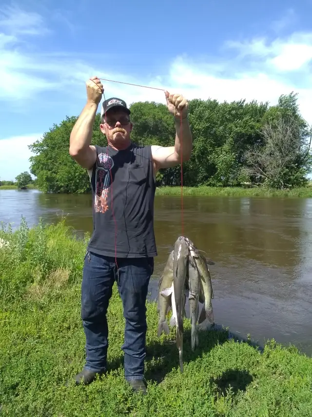 Channel catfish