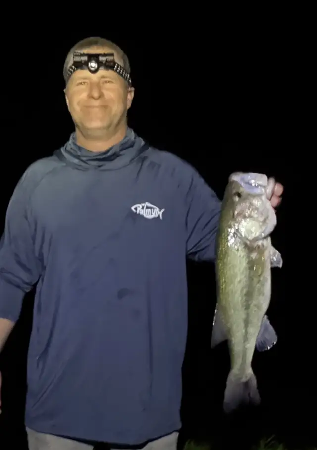 Large mouth bass