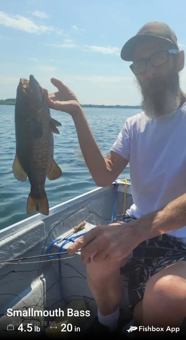 Smallmouth bass