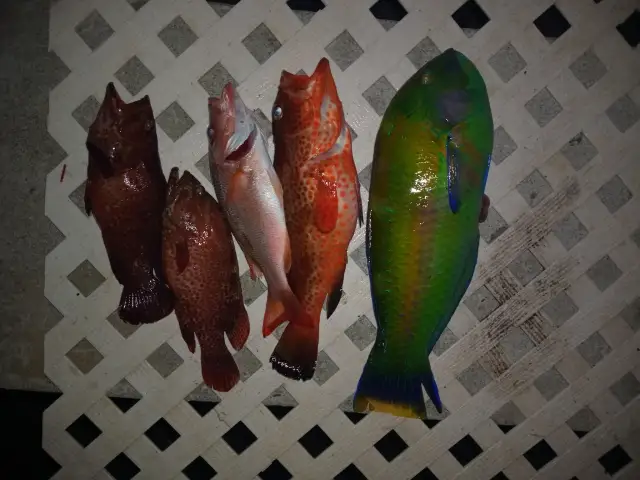 Late afternoon catch