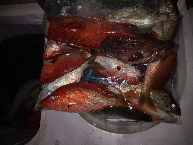 2 hours in the afternoon