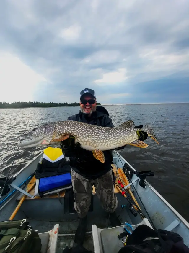 Giant Pike from Great Slave Lake! The Hub Fishing Network