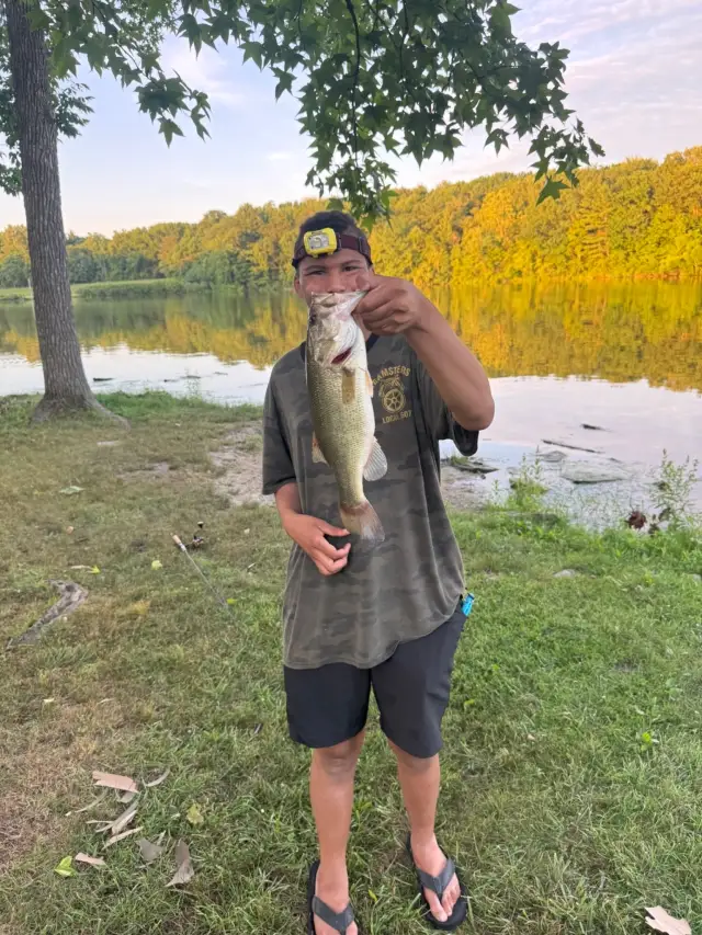 Large mouth bass