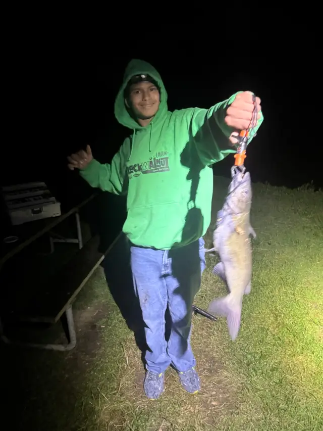 Channel cat