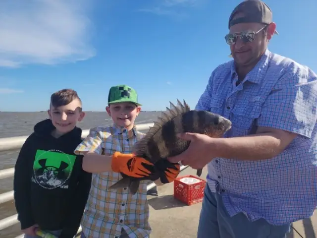 Sheepshead