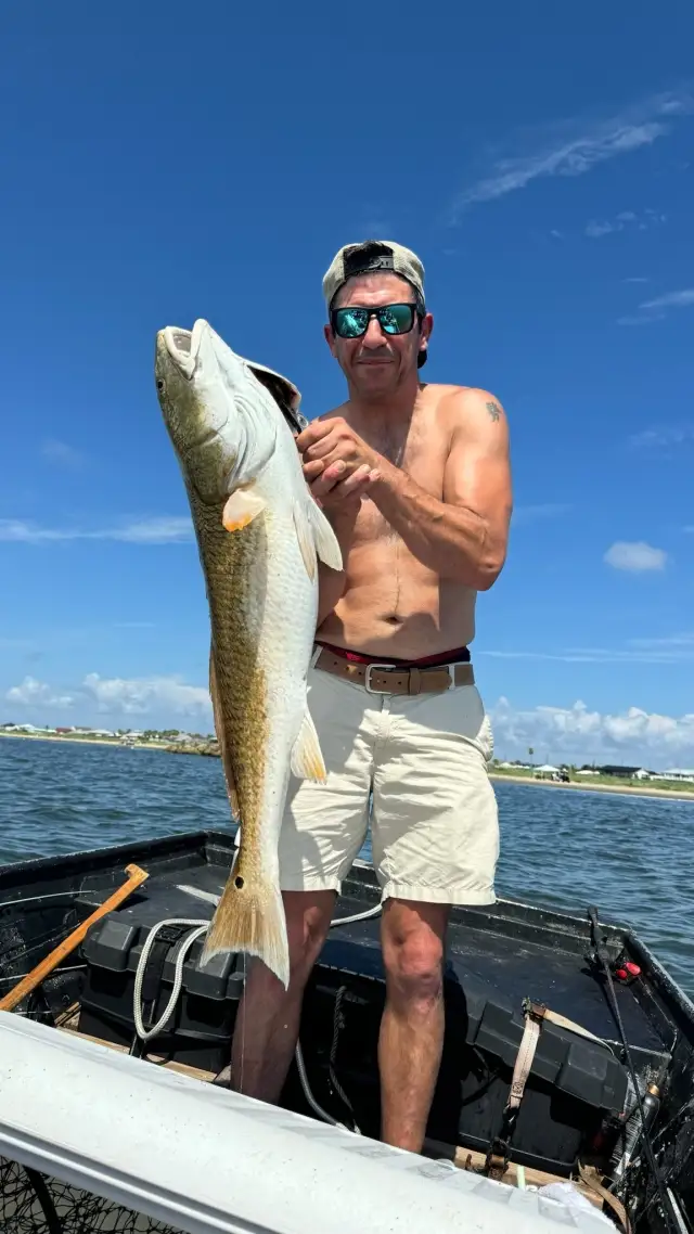 Spinner, in grand isle