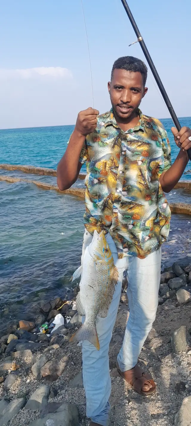 shaor fish in portsudan