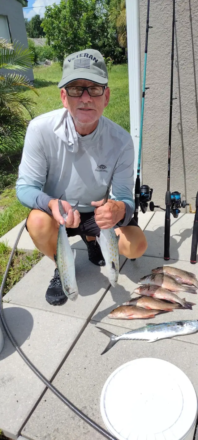 Spanish and snapper off the beach