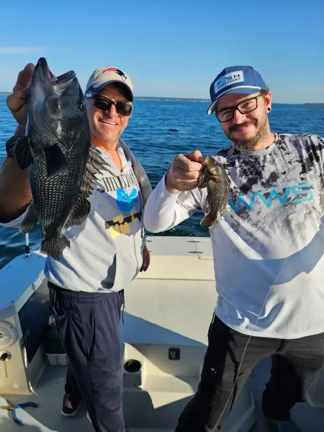 Sea bass