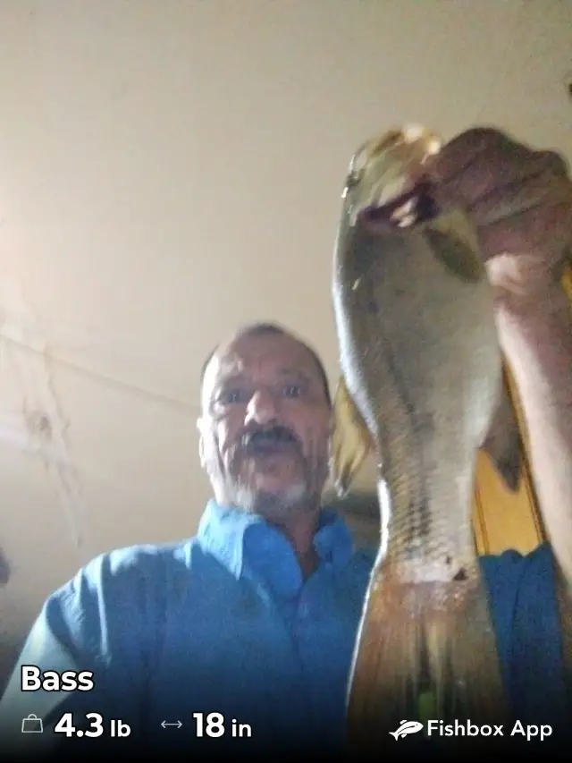 Abbeville Louisiana