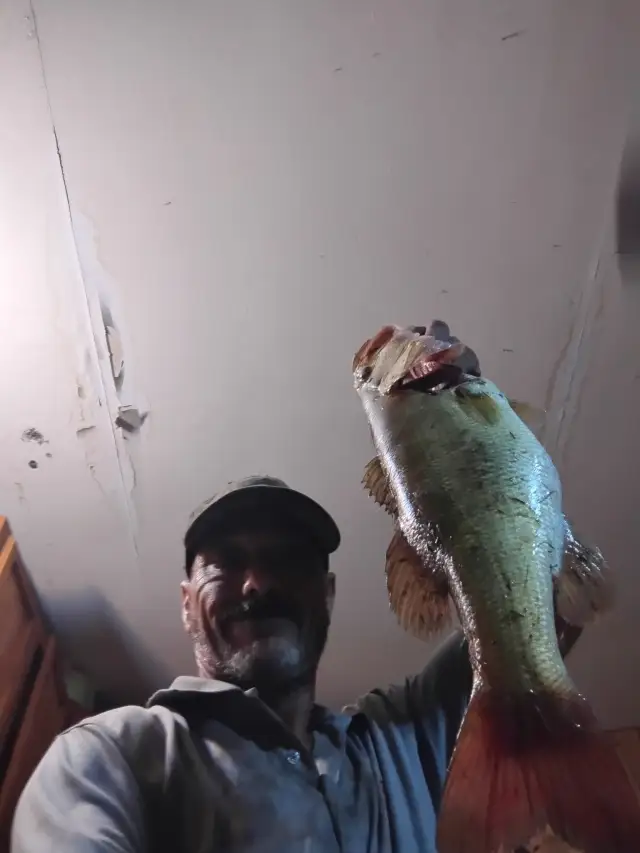 Abbeville Louisiana