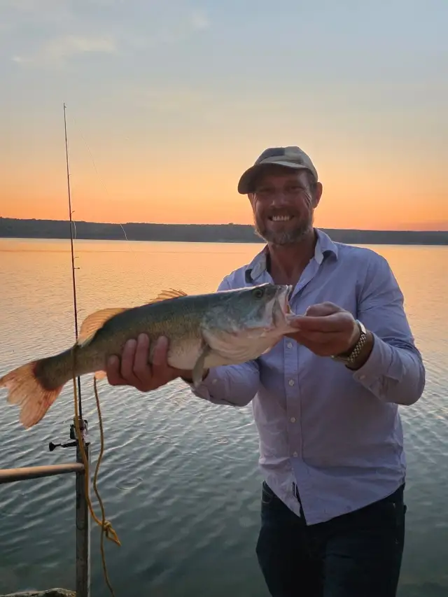Large mouth bass