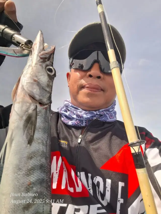 Baracuda