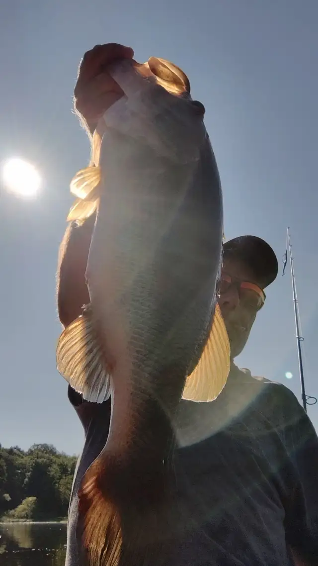 8lb. Bass