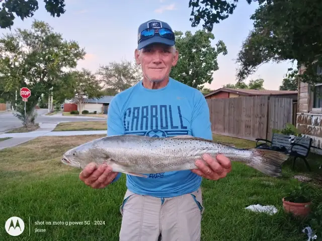 Speckled trout
