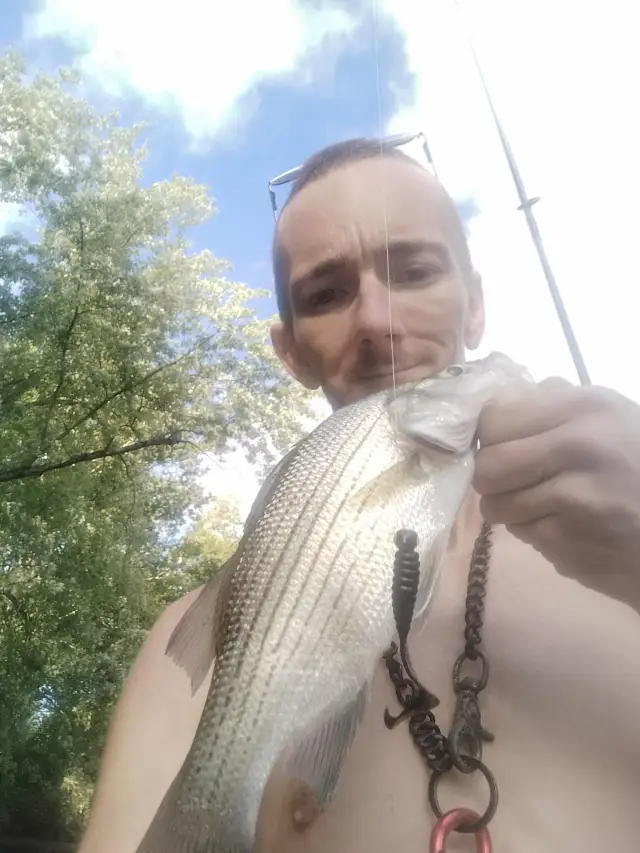 Striper