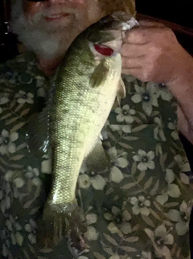 Meanmouth in Texas