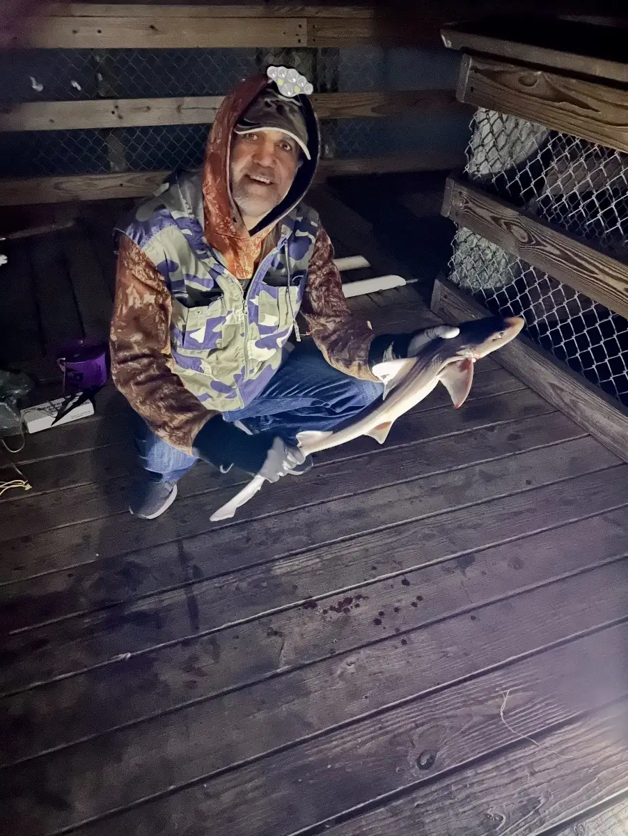Nice sand shark