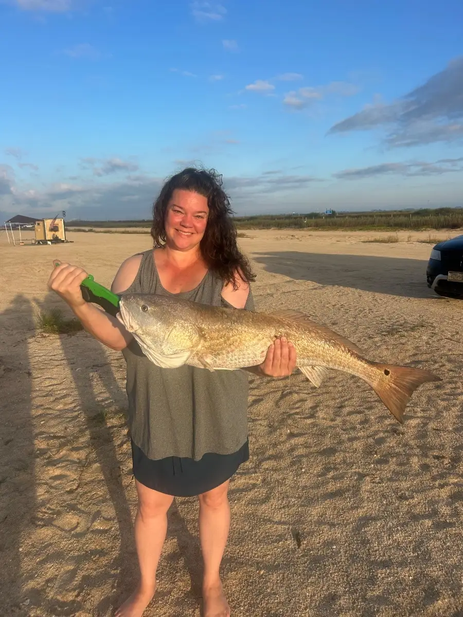 Bull redfish