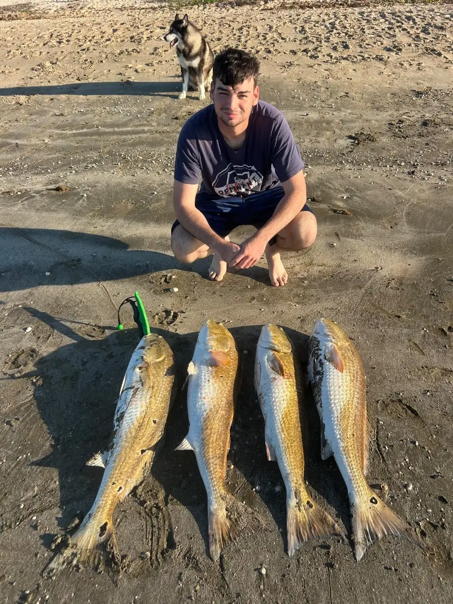 4 big Reddrum at once!
