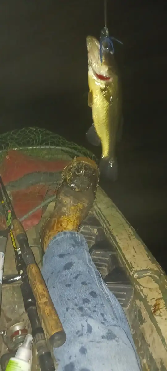 Lmb